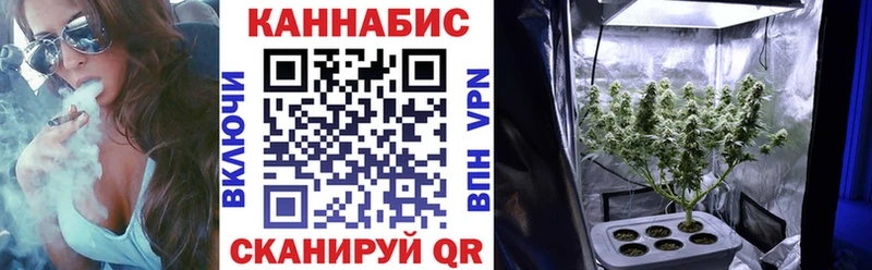 купить наркотики цена  Азнакаево  Конопля Amnesia 